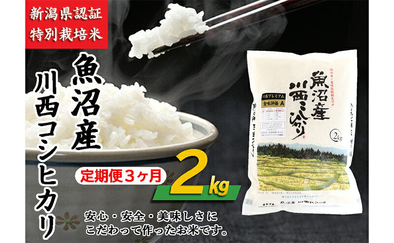 【ふるさと納税】【定期便／3ヶ月】魚沼産川西こしひかり2kg 新潟県認証特別栽培米 令和5年度米　【定期便・ お米 米 コシヒカリ こしひかり 魚沼産 魚沼産コシヒカリ 魚沼産こしひかり 】　お届け：準備でき次第、順次発送