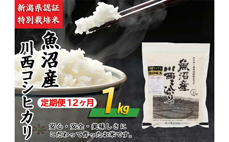 【ふるさと納税】【定期便／12ヶ月】魚沼産川西こしひかり1kg 新潟県認証特別栽培米 令和5年度米　【定期便・ お米 米 コシヒカリ こしひかり 魚沼産 魚沼産コシヒカリ 魚沼産こしひかり 】　お届け：準備でき次第、順次発送