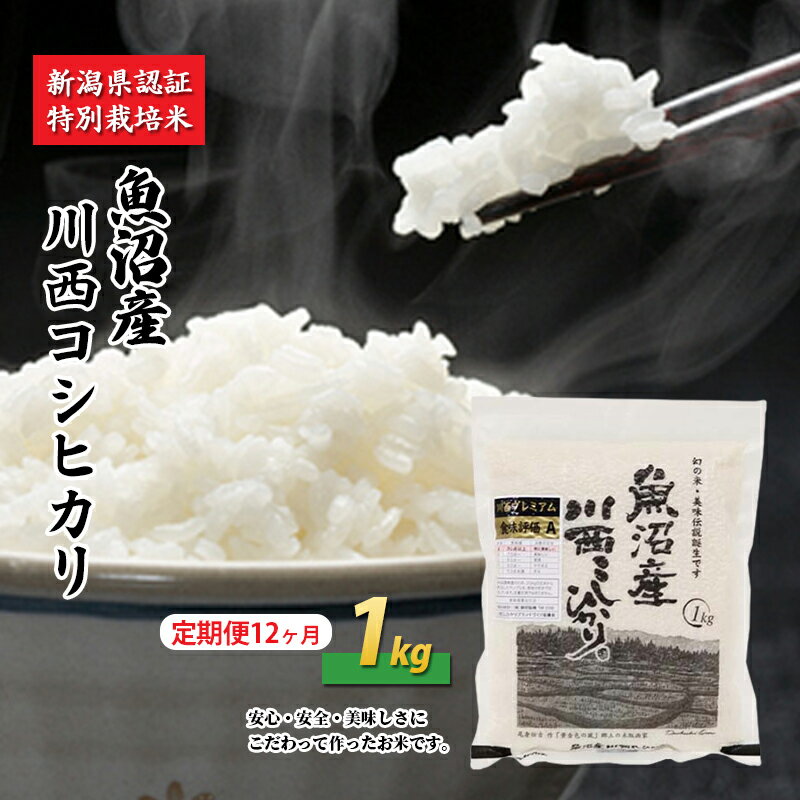 【ふるさと納税】【定期便／12ヶ月】魚沼産川西こしひかり1kg 新潟県認証特別栽培米 令和5年度米　【定期便・ お米 米 コシヒカリ こしひかり 魚沼産 魚沼産コシヒカリ 魚沼産こしひかり 】　お届け：準備でき次第、順次発送