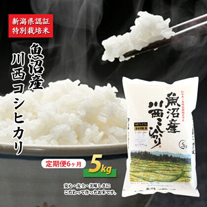 【定期便／6ヶ月】魚沼産川西こしひかり5kg 新潟県認証特別栽培米 令和5年度米　【定期便・ 米 お米 特別栽培米 精米 白米 コシヒカリ ご飯 魚沼産 6回 】　お届け：準備でき次第、順次発送