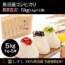 【ふるさと納税】令和7年産!魚沼産コシヒカリ【農家直送!】 5kg(1kg×5袋) お米 米 コメ お届け:10月以降より準備でき次第、順次発送いたします
