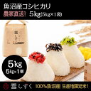 【ふるさと納税】令和7年産!魚沼産コシヒカリ【農家直送!】 5kg×1袋 お米 米 コメ お届け:10月以降より準備でき次第、順次発送いたします