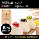 【ふるさと納税】令和7年産!魚沼産コシヒカリ【農家直送!】 10kg×1袋 お米 米 コメ お届け:10月以降より準備でき次第、順次発送いたします
