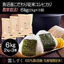【ふるさと納税】令和7年産!魚沼産こだわり従来コシヒカリ【農家直送!】6kg(2kg×3袋) お米 米 コメ お届け:10月以降より準備でき次第、順次発送いたします