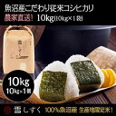 【ふるさと納税】令和7年産!魚沼産こだわり従来コシヒカリ【農家直送!】10kg×1袋 お米 米 コメ お届け:10月以降より準備でき次第、順次発送いたします