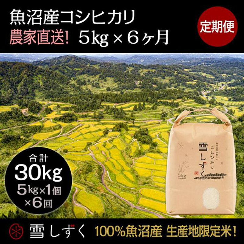 56位! 口コミ数「0件」評価「0」定期便！魚沼産コシヒカリ【合計30kg】毎月5kg×6回　【定期便・ お米 ブランド米 銘柄米 精米 白米 ご飯 おにぎり お弁当 和食 産･･･ 