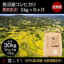 【ふるさと納税】【令和7年産】定期便!魚沼産コシヒカリ【合計30kg】毎月5kg×6回 お米 ブランド米 銘柄米 精米 白米 ご飯 おにぎり お弁当 和食 産地直送 お届け:10月以降より準備でき次第、寄付ご入金確認月の翌月より順次発送いたします