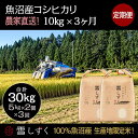 【ふるさと納税】定期便！魚沼産コシヒカリ【合計30kg】毎月10kg×3回　【定期便・ お米 ブランド米 銘柄米 精米 白米 ご飯 おにぎり お..