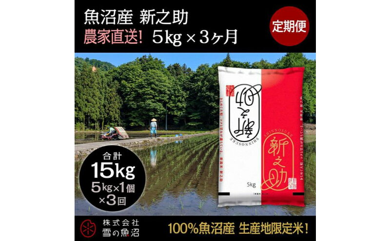 【ふるさと納税】定期便！魚沼産 新之助【合計15kg】5kg×3回　【定期便・ お米 米 こめ コメ 魚沼産 5kg 】　お届け：準備でき次第、順次発送いたします。