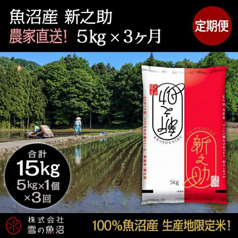 【ふるさと納税】定期便！魚沼産 新之助【合計15kg】5kg×3回　【定期便・ お米 米 こめ コメ 魚沼産 5kg 】　お届け：準備でき次第、順次発送いたします。