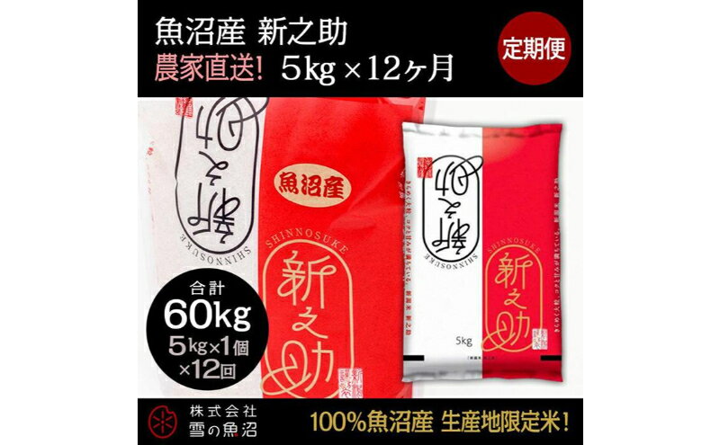 【ふるさと納税】定期便！魚沼産 新之助【合計60kg】5kg×12回　【定期便・ お米 米 こめ コメ 魚沼産 5kg 】　お届け：準備でき次第、順次発送いたします。