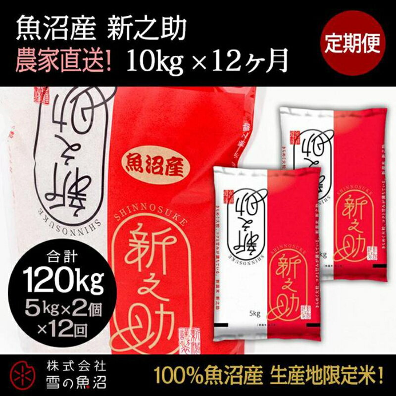 3位! 口コミ数「0件」評価「0」定期便！魚沼産 新之助【合計120kg】10kg×12回　【定期便・ お米 米 こめ コメ 魚沼産 】　お届け：準備でき次第、順次発送いたし･･･ 