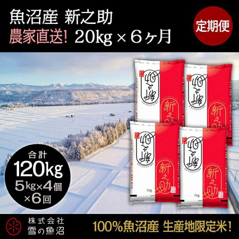 23位! 口コミ数「0件」評価「0」定期便！魚沼産 新之助【合計120kg】20kg×6回　【定期便・ お米 米 こめ コメ 魚沼産 】　お届け：準備でき次第、順次発送いたしま･･･ 