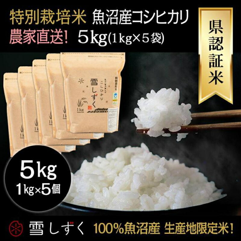 【ふるさと納税】県認証特別栽培魚沼産コシヒカリ【農家直送！】 5kg(1kg×5袋)　【 お米 米 コメ コシヒカリ 魚沼産 】　お届け：準備でき次第、順次発送いたします。