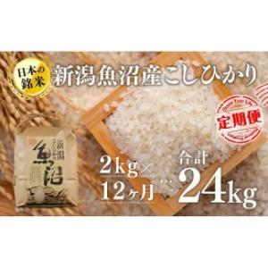 【ふるさと納税】【12カ月定期便】新潟魚沼産こしひかり（精米