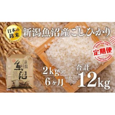 【ふるさと納税】【6カ月定期便】新潟魚沼産こしひかり（精米）2kg　【定期便・ お米 米 コメ コシヒカリ 魚沼産 】