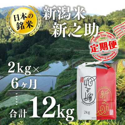 【ふるさと納税】【6カ月定期便】新潟米新之助（精米）2kg お米 コメのサムネイル