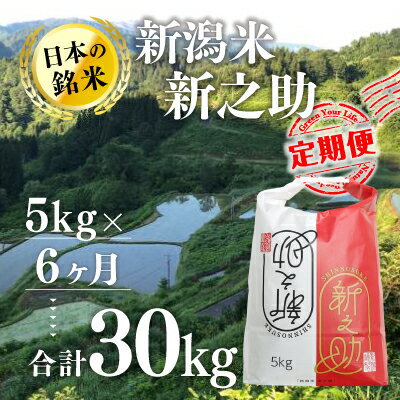 【ふるさと納税】【6カ月定期便】新潟米新之助（精米）5kg　【定期便・ お米 米 コメ 】