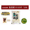 【ふるさと納税】数量限定 従来品種 魚沼産コシヒカリ 精米 5kg×2 令和5年度産　【 お米 米 コメ コシヒカリ 魚沼産 】　お届け：準備でき次第、順次発送