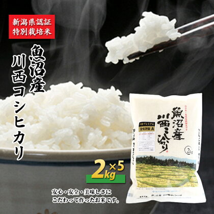 魚沼産川西こしひかり2kg×5 新潟県認証特別栽培米 令和5年度米　【お米・コシヒカリ】　お届け：準備でき次第、順次発送