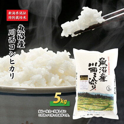 魚沼産川西こしひかり5kg 新潟県認証特別栽培米 令和5年度米　【お米・コシヒカリ】　お届け：準備でき次第、順次発送