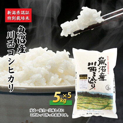 魚沼産川西こしひかり5kg×5 新潟県認証特別栽培米 令和5年度米　【お米・コシヒカリ】　お届け：準備でき次第、順次発送