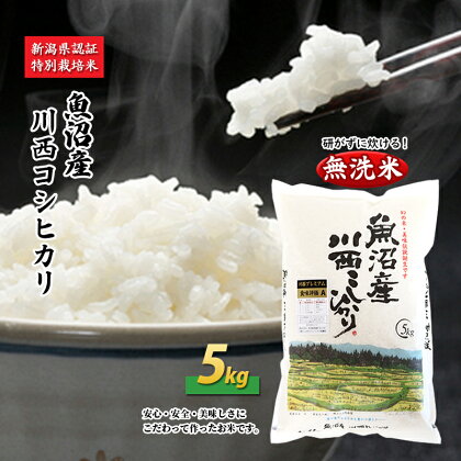 【無洗米】魚沼産川西こしひかり5kg 新潟県認証特別栽培米 令和5年度米　【米・無洗米・お米・コシヒカリ】　お届け：準備でき次第、順次発送