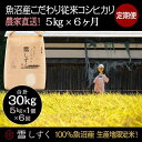 13位! 口コミ数「0件」評価「0」定期便！魚沼産こだわり従来コシヒカリ【合計30kg】毎月5kg×6回　【定期便・ ブランド米 銘柄米 白米 精米 ご飯 おにぎり お弁当 】･･･ 