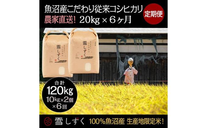 【ふるさと納税】定期便！魚沼産こだわり従来コシヒカリ【合計120kg】毎月20kg×6回　【定期便・ ブランド米 銘柄米 白米 精米 ご飯 おにぎり お弁当 】　お届け：準備でき次第、順次発送いたします。