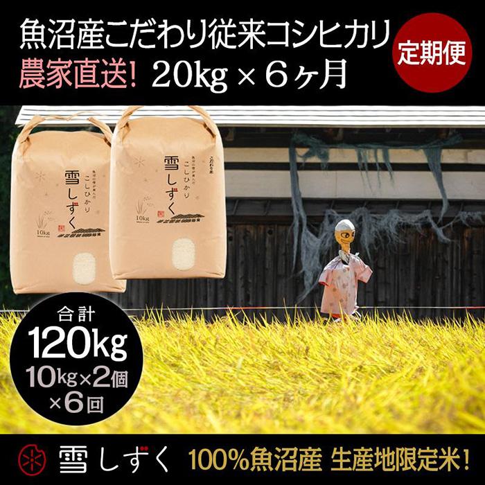 【ふるさと納税】定期便！魚沼産こだわり従来コシヒカリ【合計120kg】毎月20kg×6回　【定期便・ ブランド米 銘柄米 白米 精米 ご飯 おにぎり お弁当 】　お届け：準備でき次第、順次発送いたします。