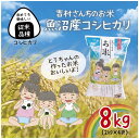 【ふるさと納税】｜従来品種｜ 魚沼産 コシヒカリ 2kg ×4袋 計8kg 米 こしひかり お米 コメ 新潟 魚沼 魚沼産 白米 送料無料 新潟県産 精米 産直 農家直送 お取り寄せ 吉村さんちのお米 新潟県 十日町市　【 モチモチ 】