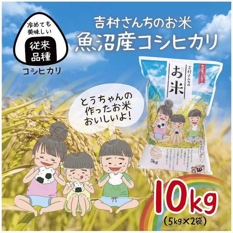 楽天新潟県十日町市【ふるさと納税】｜従来品種｜ 魚沼産 コシヒカリ 5kg ×2袋 計10kg 米 こしひかり お米 コメ 新潟 魚沼 魚沼産 白米 送料無料 新潟県産 精米 産直 農家直送 お取り寄せ 吉村さんちのお米 新潟県 十日町市　【 モチモチ 】　お届け：入金確認後、約1週間～2週間ほどでお届け