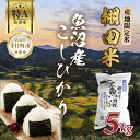 【ふるさと納税】棚田米 魚沼産 コシヒカリ 5kg 新潟県 十日町市 松代地区 限定 棚田 こしひかり (お米屋秘伝!美味しいご飯の炊き方ガイド付き) 精米 ご飯 ブランド米 銘柄米 お届け:入金確認後、約1週間~2週間ほどでお届け - 新潟県十日町市