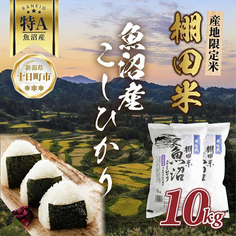 【ふるさと納税】棚田米 魚沼産 コシヒカリ 10kg 新潟県 十日町市 松代地区 限定 棚田 こしひかり （お米屋秘伝！美味しいご飯の炊き方ガイド付き）　【 精米 ご飯 ブランド米 銘柄米 】　お届け：入金確認後、約1週間～2週間ほどでお届け