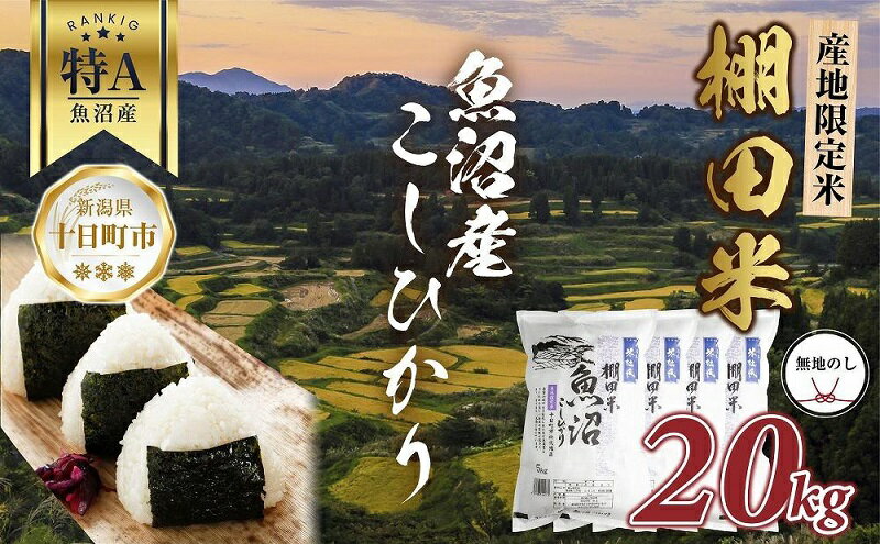 【ふるさと納税】【無地熨斗】 棚田米 魚沼産 コシヒカリ 20kg 新潟県 十日町市 松代地区 限定 棚田 こしひかり （お米屋秘伝！美味しいご飯の炊き方ガイド付き）　【 精米 ご飯 ブランド米 銘柄米 】