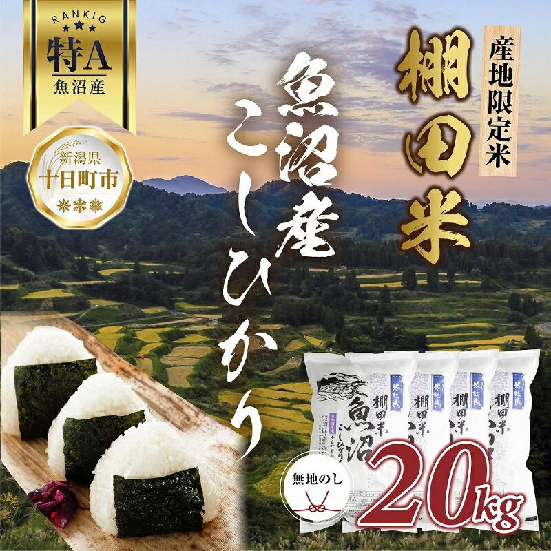 12位! 口コミ数「0件」評価「0」【無地熨斗】 棚田米 魚沼産 コシヒカリ 20kg 新潟県 十日町市 松代地区 限定 棚田 こしひかり （お米屋秘伝！美味しいご飯の炊き方ガ･･･ 