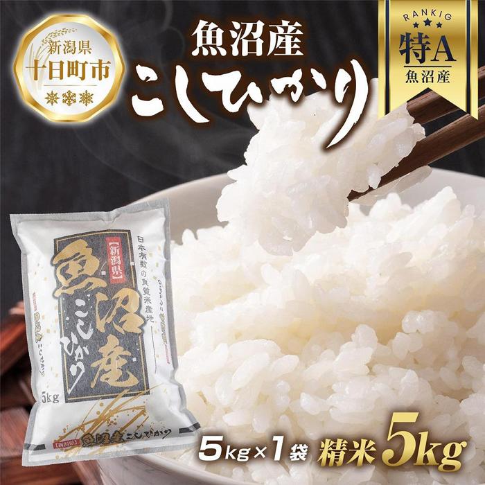 【ふるさと納税】魚沼産 コシヒカリ 5kg お米 こしひかり
