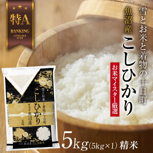 【ふるさと納税】魚沼産 コシヒカリ 5kg お米 こしひかり 新潟 （お米の美味しい炊き方ガイド付き）　【 精米 ご飯 ブランド米 銘柄米 】