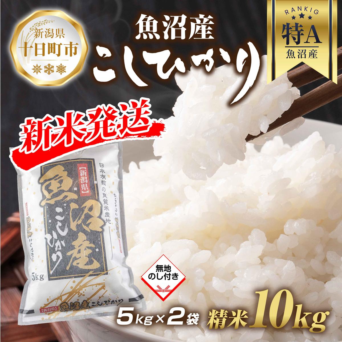 【ふるさと納税】【令和6年産 新米予約】 無地熨斗 魚沼産 