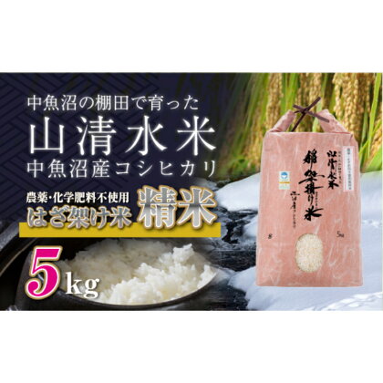 新潟県魚沼産コシヒカリ◇精米5kg 栽培期間中農薬・化学肥料不使用「山清水米」はざ架け米　【お米・コシヒカリ】　お届け：順次発送