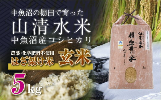 【ふるさと納税】新潟県魚沼産コシヒカリ◇玄米5kg 栽培期間中農薬・化学肥料不使用「山清水米」はざ架け米　【十日町市】　お届け：順次発送