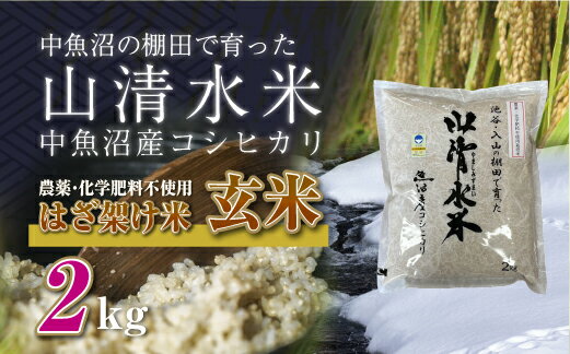 【ふるさと納税】新潟県魚沼産コシヒカリ◇玄米2kg 栽培期間中農薬・化学肥料不使用「山清水米」はざ架け米　【十日町市】　お届け：順次発送