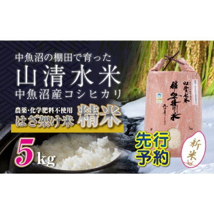 【新米先行受付】新潟県魚沼産コシヒカリ◇精米5kg 栽培期間中農薬・化学肥料不使用「山清水米」はざ架け米　【十日町市】　お届け：2024年11月以降、順次発送します。