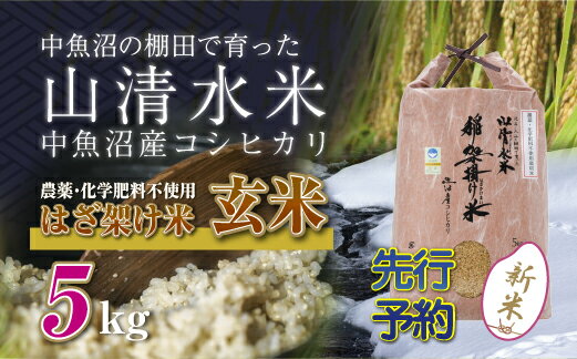 【ふるさと納税】【新米先行受付】新潟県魚沼産コシヒカリ◇玄米5kg 栽培期間中農薬・化学肥料不使用「山清水米」はざ架け米　【十日町市】　お届け：2024年11月以降、順次発送します。