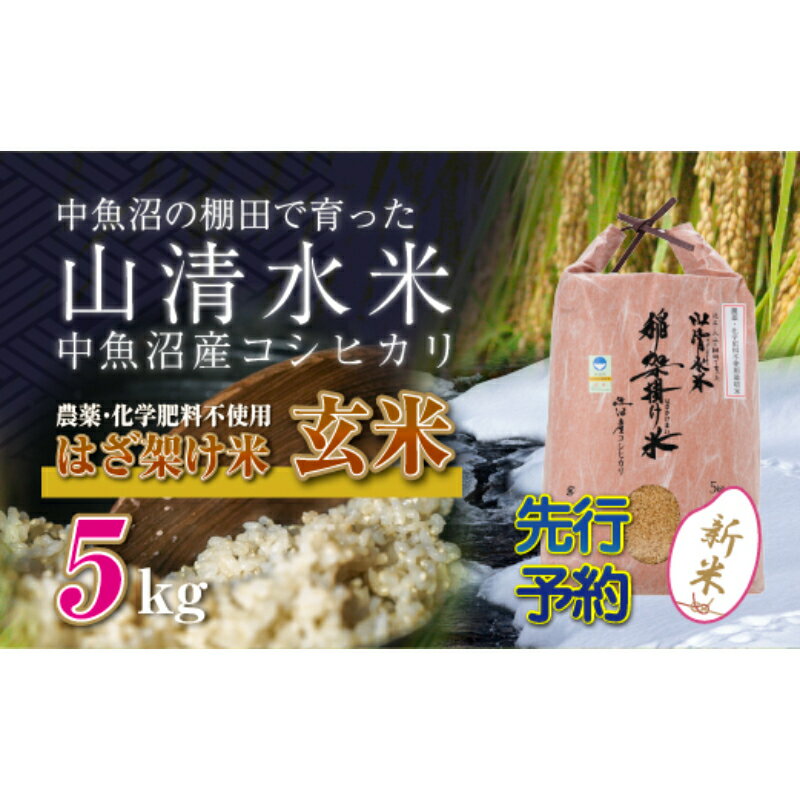 【ふるさと納税】【新米先行受付】新潟県魚沼産コシヒカリ◇玄米5kg 栽培期間中農薬・化学肥料不使用「山清水米」はざ架け米　【十日町市】　お届け：2024年11月以降、順次発送します。