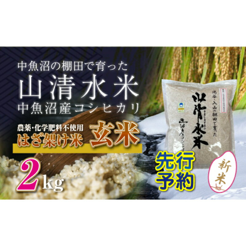 【ふるさと納税】【新米先行受付】新潟県魚沼産コシヒカリ◇玄米2kg 栽培期間中農薬・化学肥料不使用「山清水米」はざ架け米　【十日町市】　お届け：2024年11月以降、順次発送します。