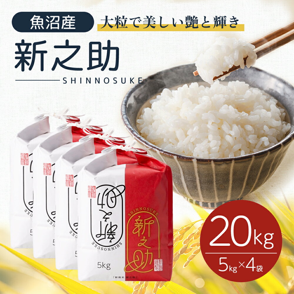 35位! 口コミ数「0件」評価「0」【新米先行受付】新之助20kg(5kg×4袋)　【十日町市】　お届け：2024年10月15日以降、順次配送