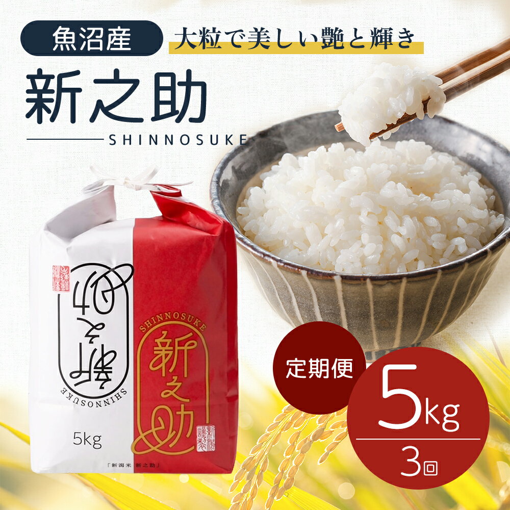 60位! 口コミ数「0件」評価「0」【新米先行受付】定期3 新之助精米5kg　【定期便・十日町市】　お届け：2024年10月15日以降、順次配送