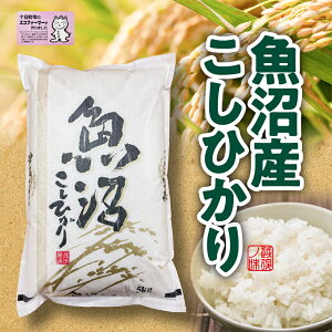 【ふるさと納税】米 2025年産 十日町産こしひかり 精米5kg コシヒカリ コメ 十日町市 お届け:2025年10月11日~2026年10月11日まで