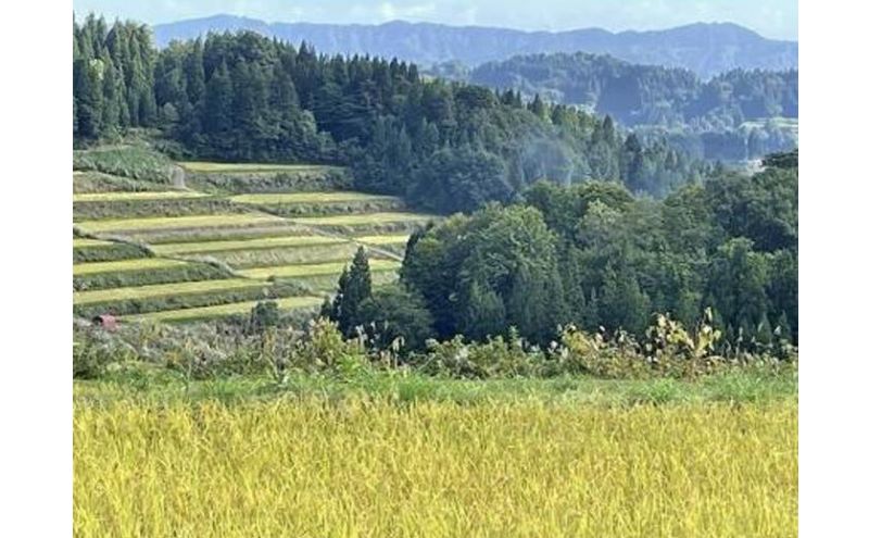 新潟県十日町市の画像3